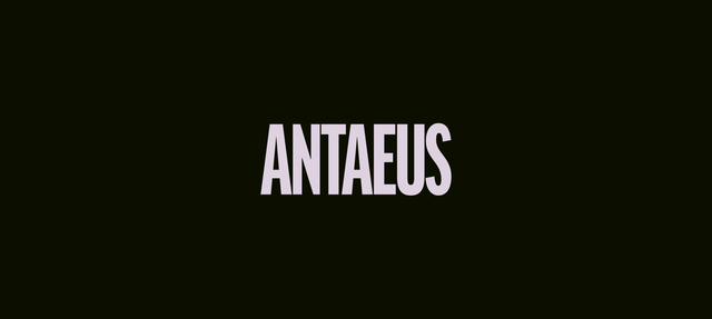 community-meeting-discussion-antaeus-website
