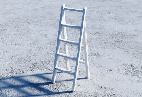 Illustration of engagement ladders connecting supporters to meaningful actions